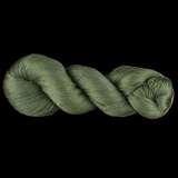 Color Now! - Kiku Silk Yarn -  212 One Hundred Acre Wood