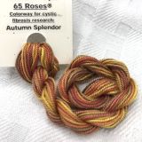      65 Roses&reg; 'Autumn Splendor' - Thread, Shinju (#5 silk perle)