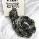      65 Roses&reg; 'Rosa Calvaria' - Thread, Shinju (#5 silk perle)